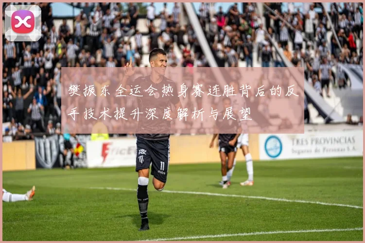 樊振东全运会热身赛连胜背后的反手技术提升深度解析与展望